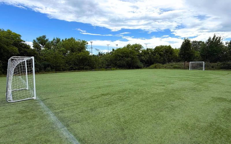 Field 4